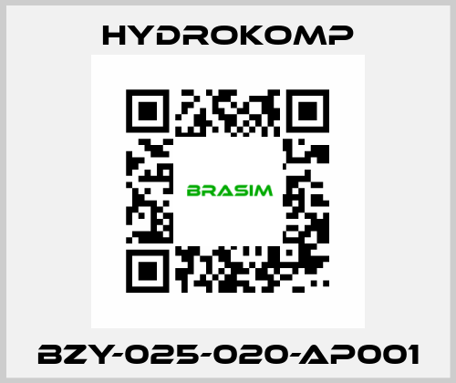 BZY-025-020-AP001 HYDROKOMP