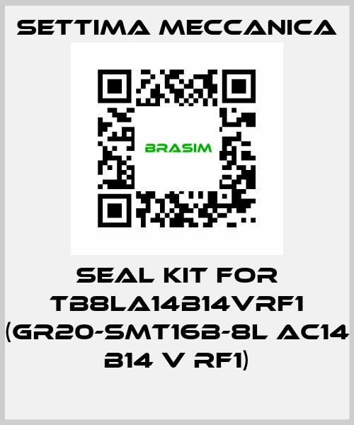 Seal kit for TB8LA14B14VRF1 (GR20-SMT16B-8L AC14 B14 V RF1) Settima Meccanica