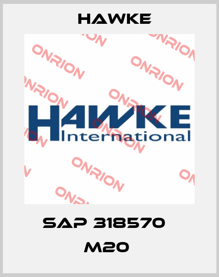SAP 318570   M20  Hawke