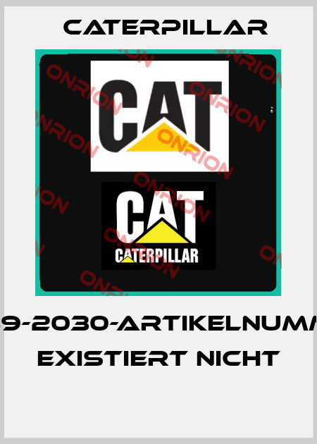 2589-2030-ARTIKELNUMMER EXISTIERT NICHT  Caterpillar