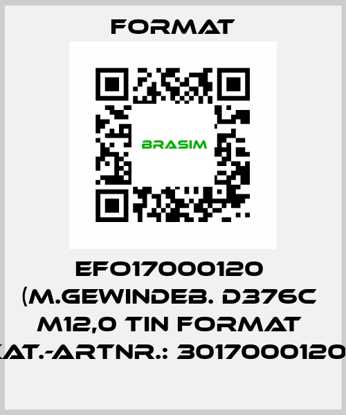 EFO17000120  (M.Gewindeb. D376C  M12,0 TiN FORMAT  Kat.-Artnr.: 3017000120)  Format