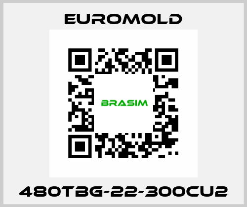 480TBG-22-300CU2 EUROMOLD