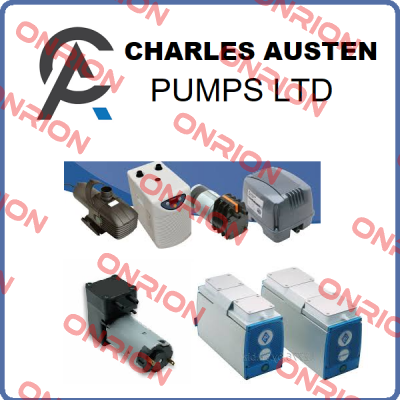 DL04 -  X04-509/2 Charles Austen Pumps