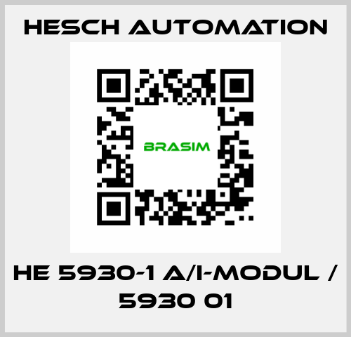 HE 5930-1 A/I-Modul / 5930 01 Hesch Automation