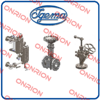 Lower Shutoff Valve Page 9/3 for LG40 Igema