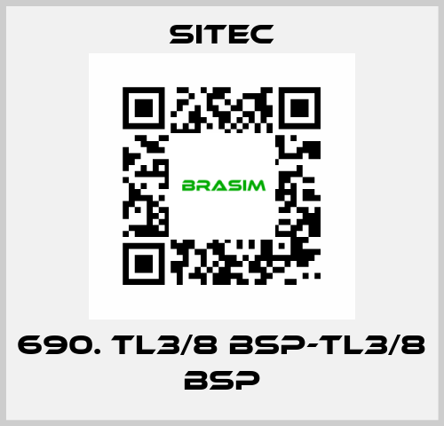 690. TL3/8 BSP-TL3/8 BSP SITEC