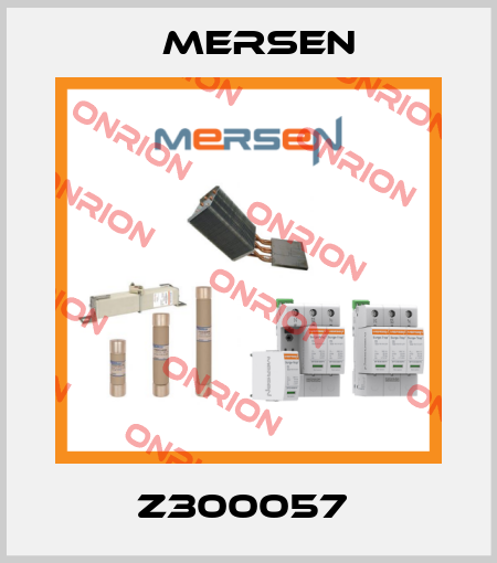 Z300057  Mersen