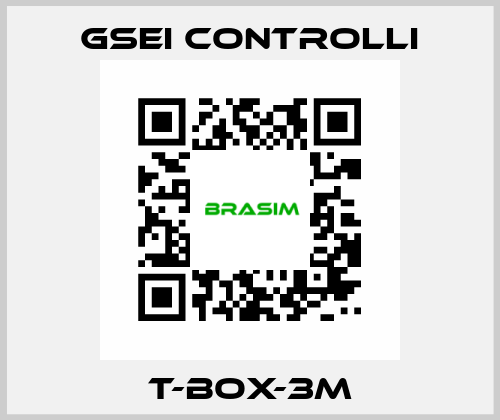 T-BOX-3M GSEI Controlli