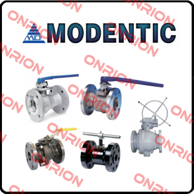V-158 1000PSI SW CF8M RTFE (1-1/4") Modentic