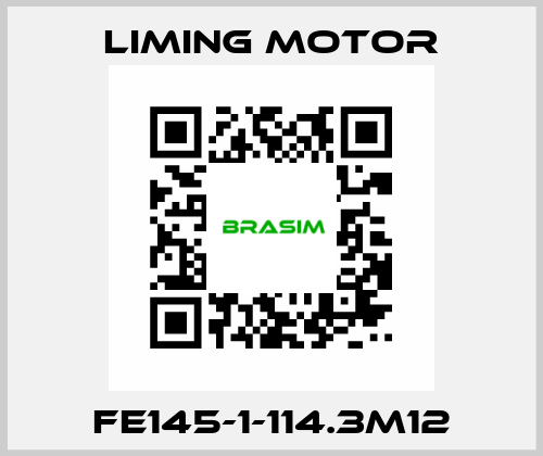 FE145-1-114.3M12 Liming Motor