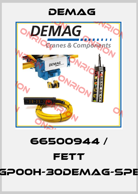 66500944 / FETT GP00H-30DEMAG-SPE Demag