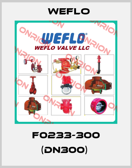 F0233-300 (DN300)  Weflo
