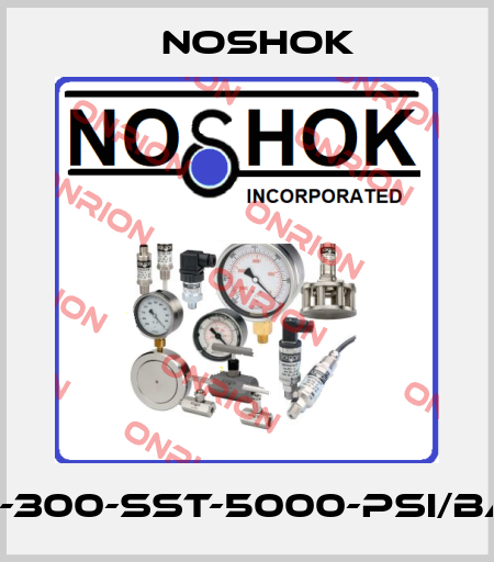 25-300-SST-5000-psi/bar Noshok