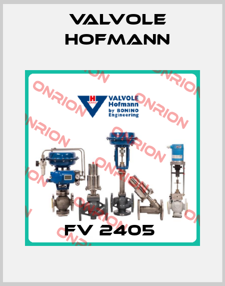FV 2405  Valvole Hofmann