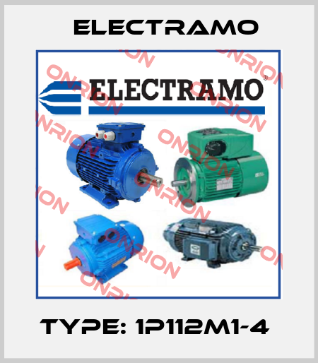 TYPE: 1P112M1-4  Electramo