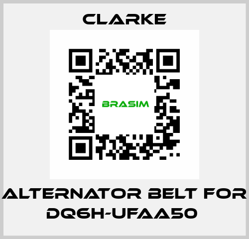 Alternator Belt for DQ6H-UFAA50  Clarke