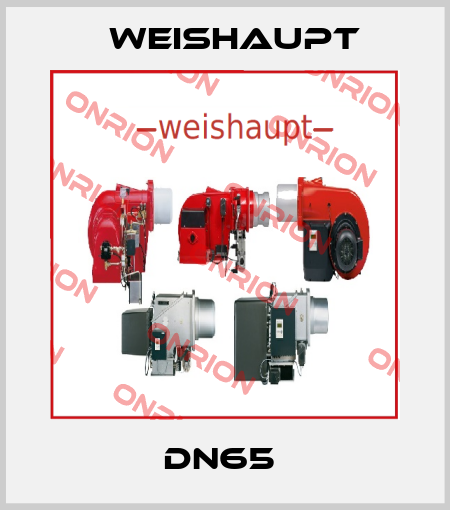 DN65  Weishaupt