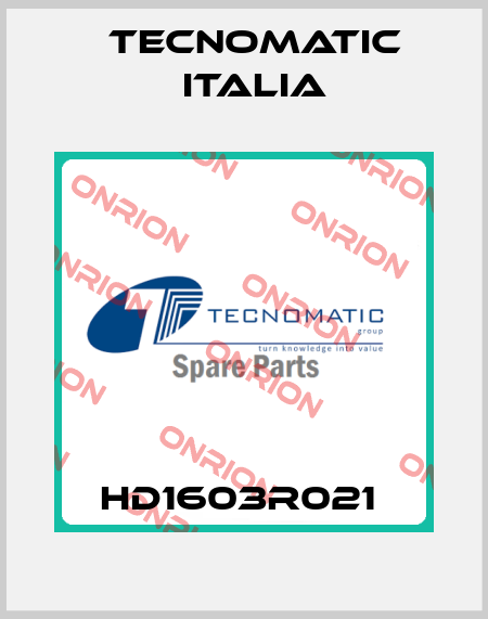 HD1603R021  Tecnomatic Italia
