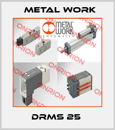 DRMS 25  Metal Work