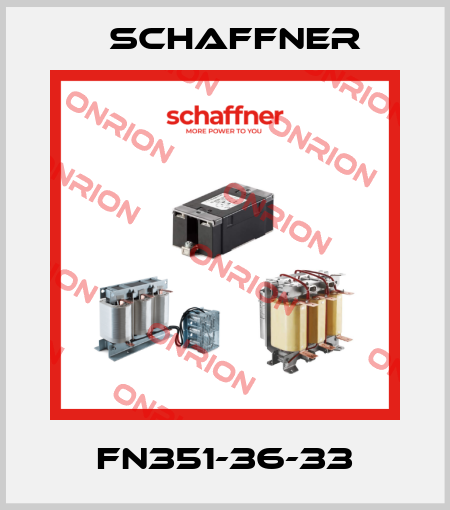 FN351-36-33 Schaffner