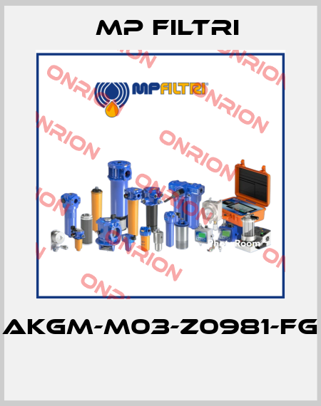 AKGM-M03-Z0981-FG  MP Filtri