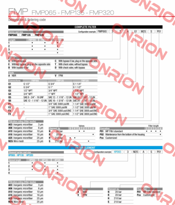 FMP-135-1-B-A-G1-A10-N-P01-big