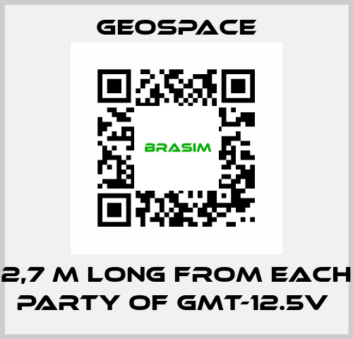 2,7 M LONG FROM EACH PARTY OF GMT-12.5V  GeoSpace