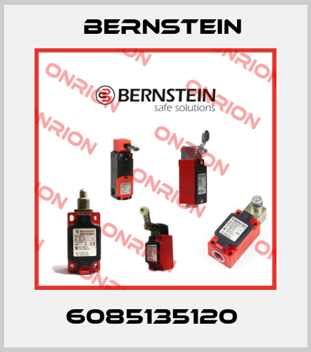 6085135120  Bernstein