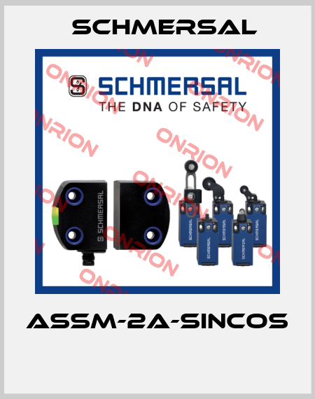 ASSM-2A-SINCOS  Schmersal