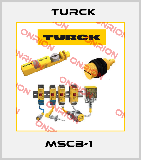 MSCB-1  Turck