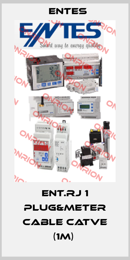 ENT.RJ 1 Plug&Meter Cable CATVe (1m)  Entes