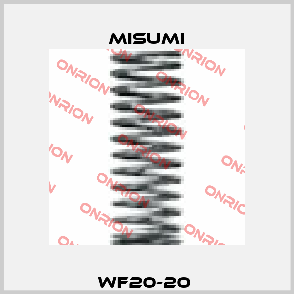 WF20-20  Misumi