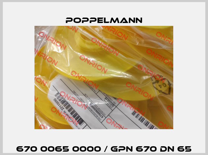 670 0065 0000 / GPN 670 DN 65 Poppelmann