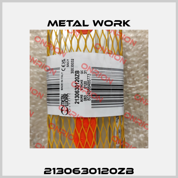 2130630120ZB Metal Work