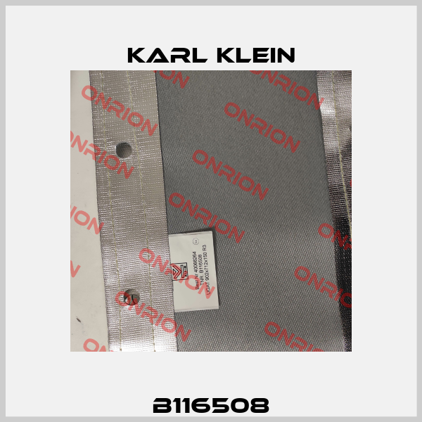 B116508 Karl Klein