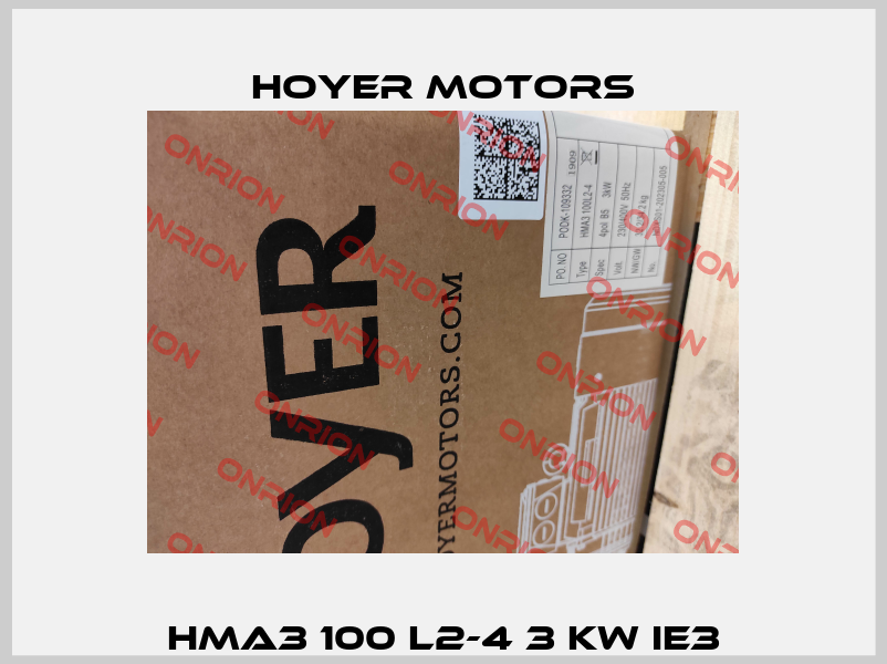 HMA3 100 L2-4 3 kW IE3 Hoyer Motors